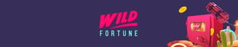 Wild Fortune Casino fr